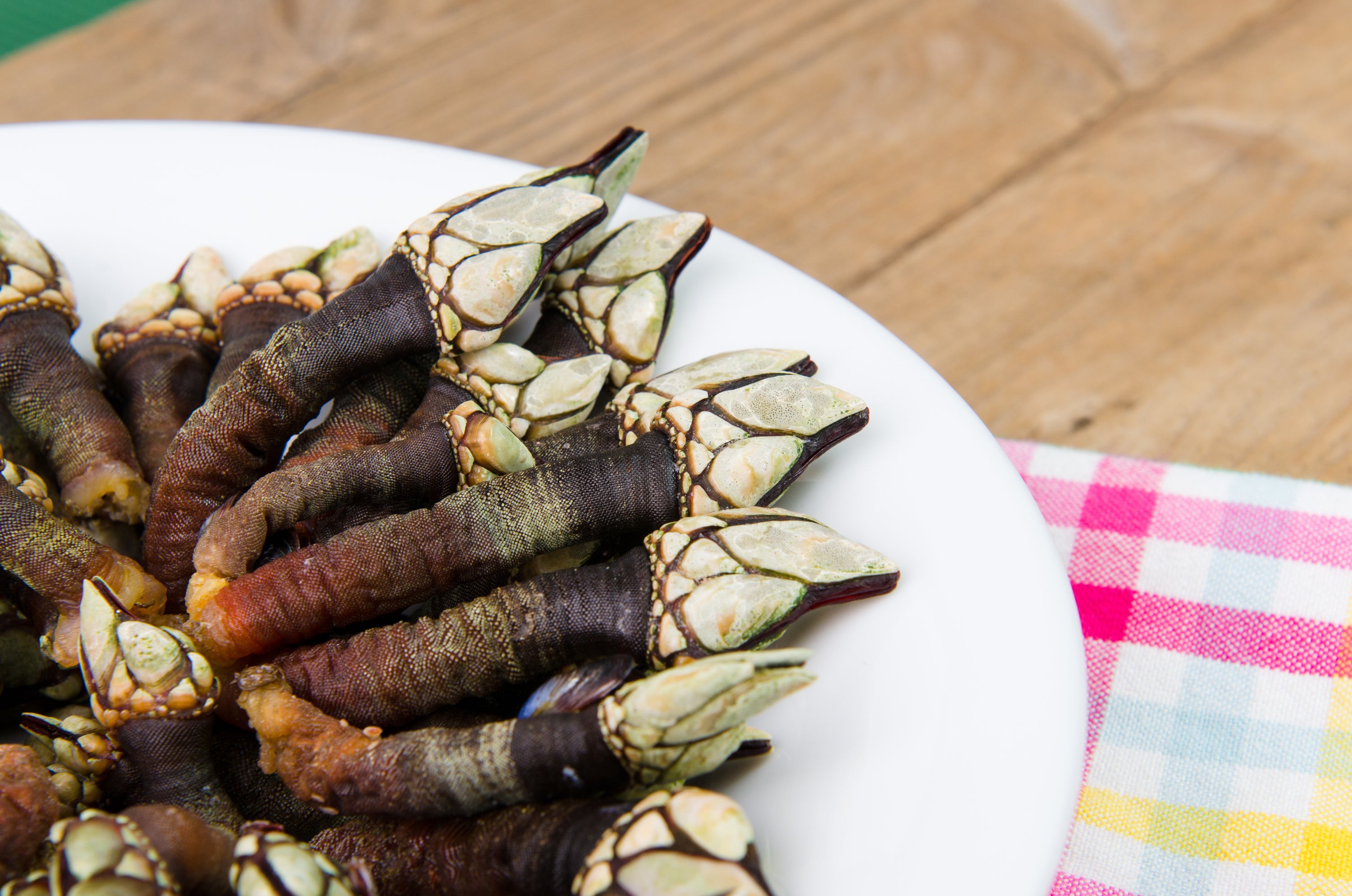 Percebes: The Hidden Gem of the Sea