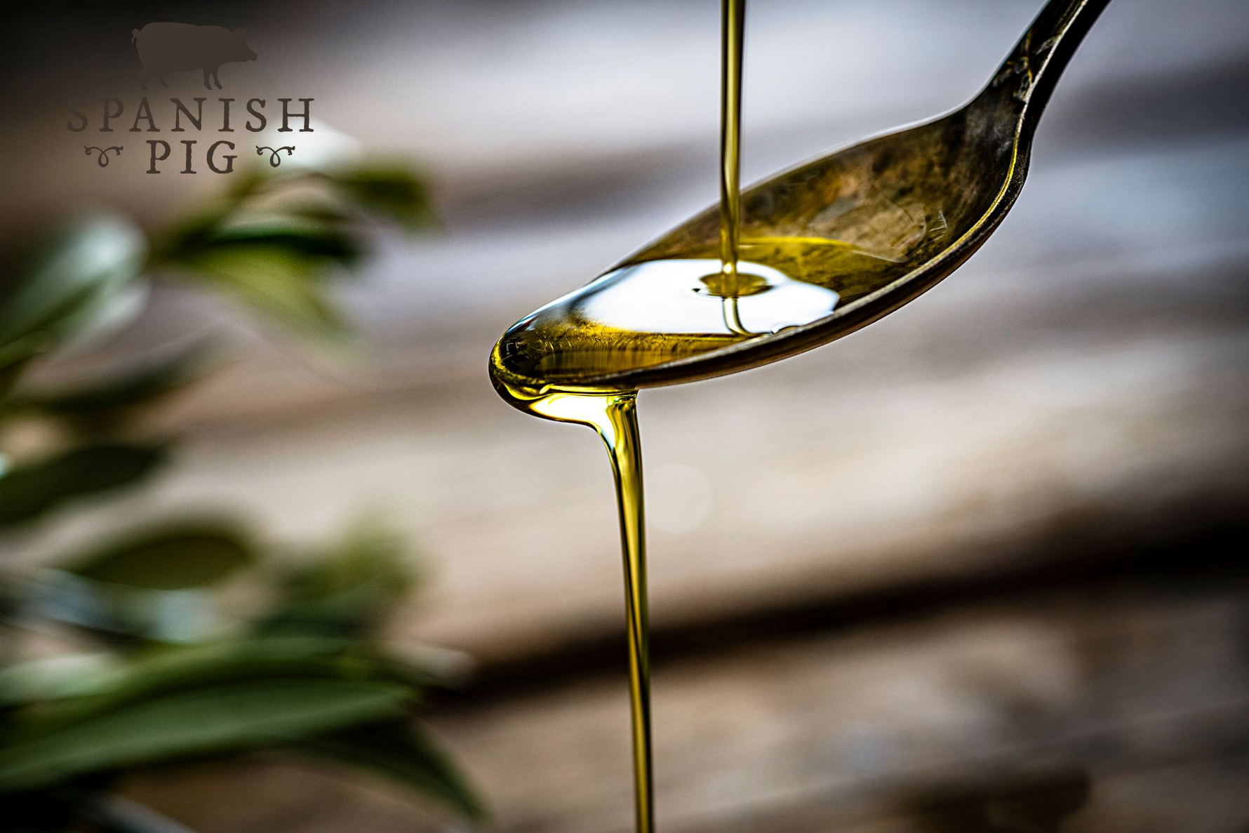 Polyphenols: The Spanish Secret to Longevity, Deliciousness, and Maybe Even Superpowers?