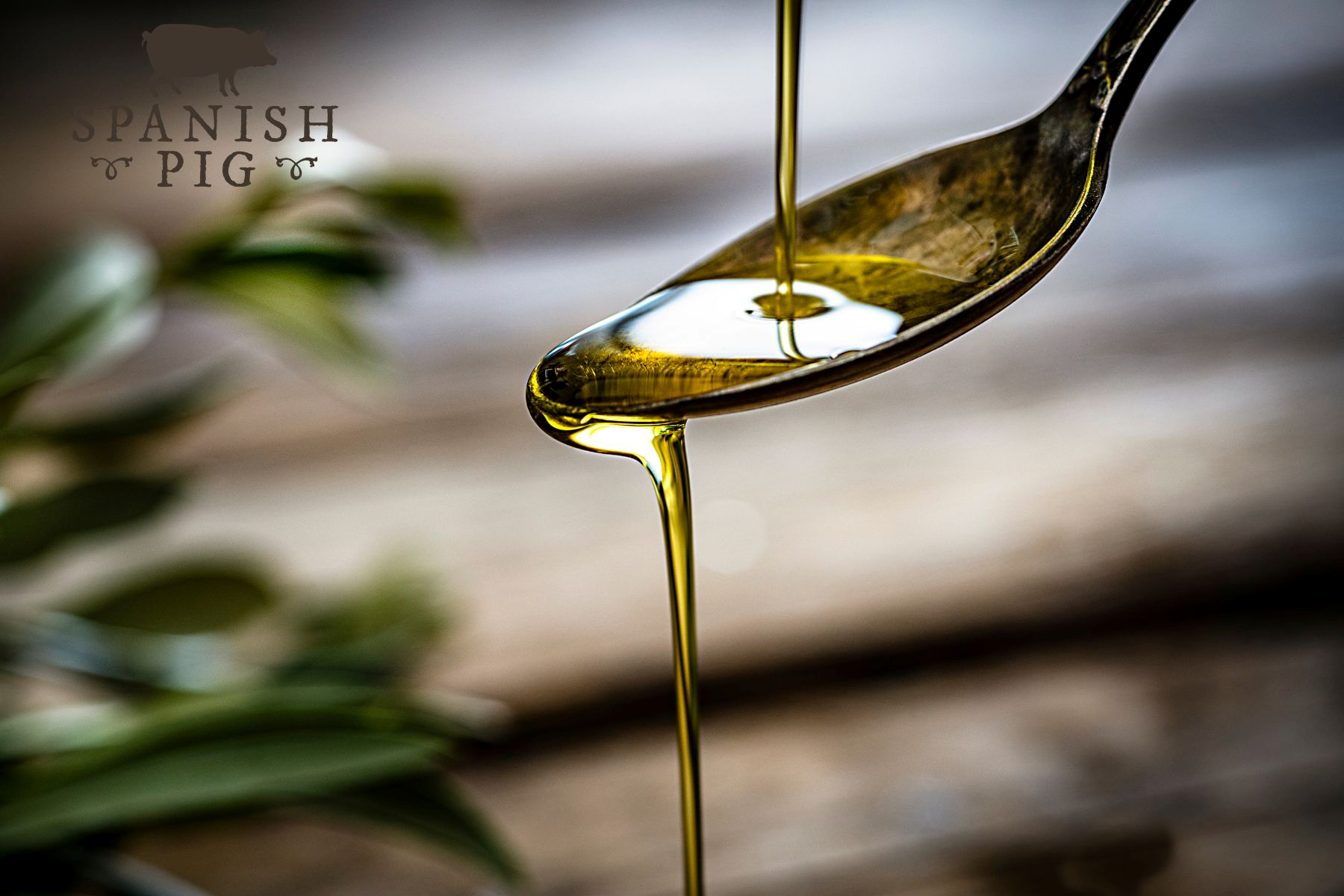 Polyphenols: The Spanish Secret to Longevity, Deliciousness, and Maybe Even Superpowers?