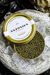 Antonius Caviar Oscietra- 30g