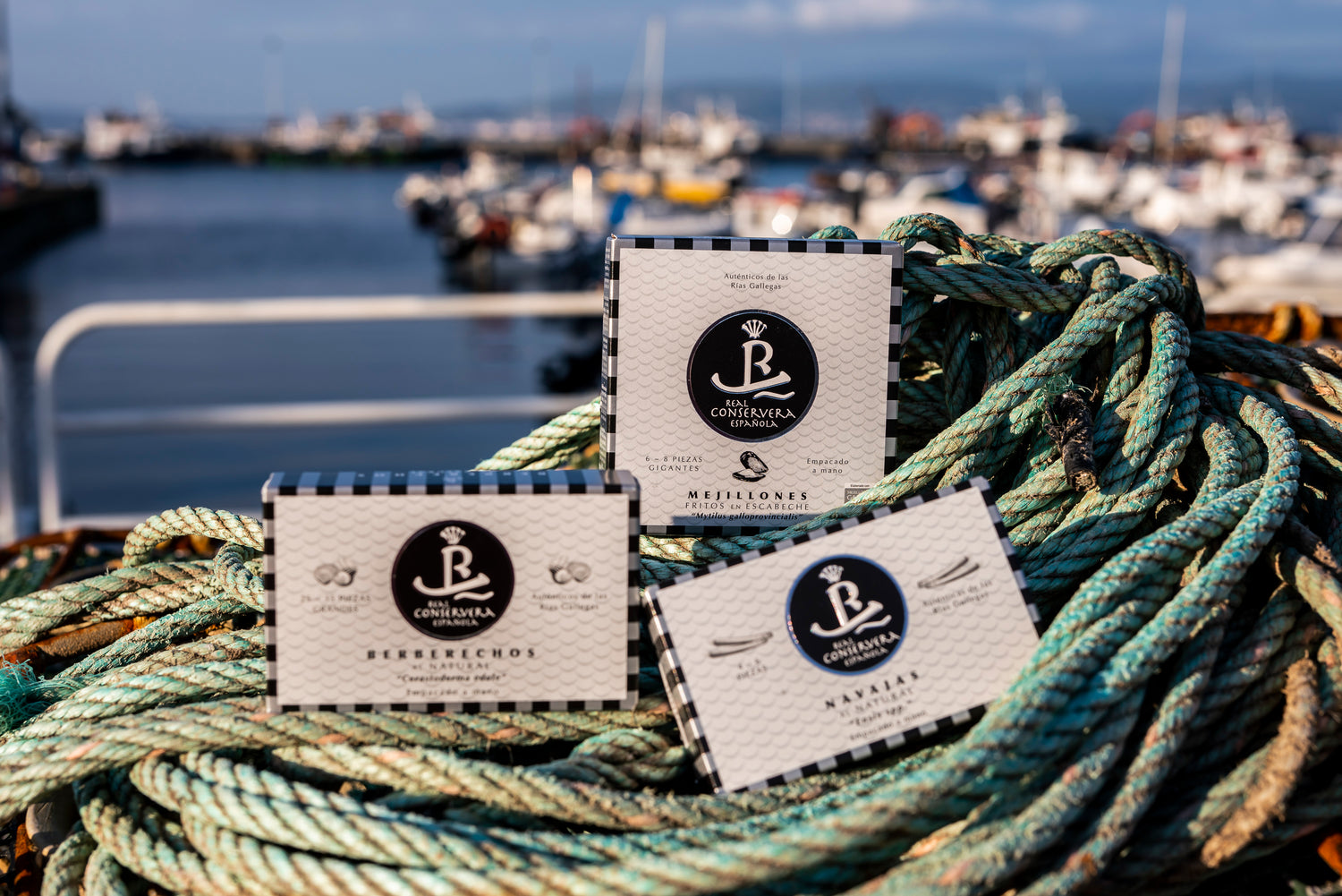 Real Conservera Española Tiny Squid in Ink-  110g of Exceptional Quality