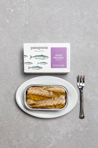 Patagonia Provisions Smoked Mackerel in Olive Oil